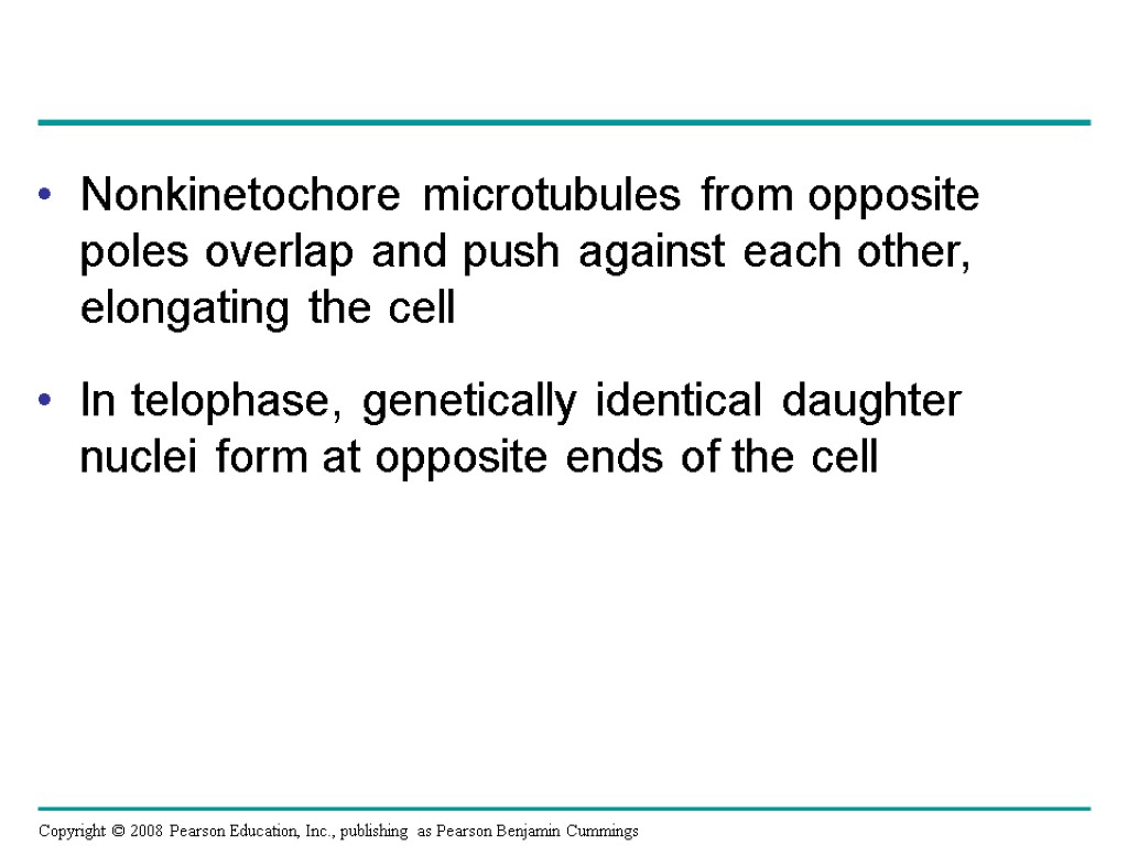 Nonkinetochore microtubules from opposite poles overlap and push against each other, elongating the cell